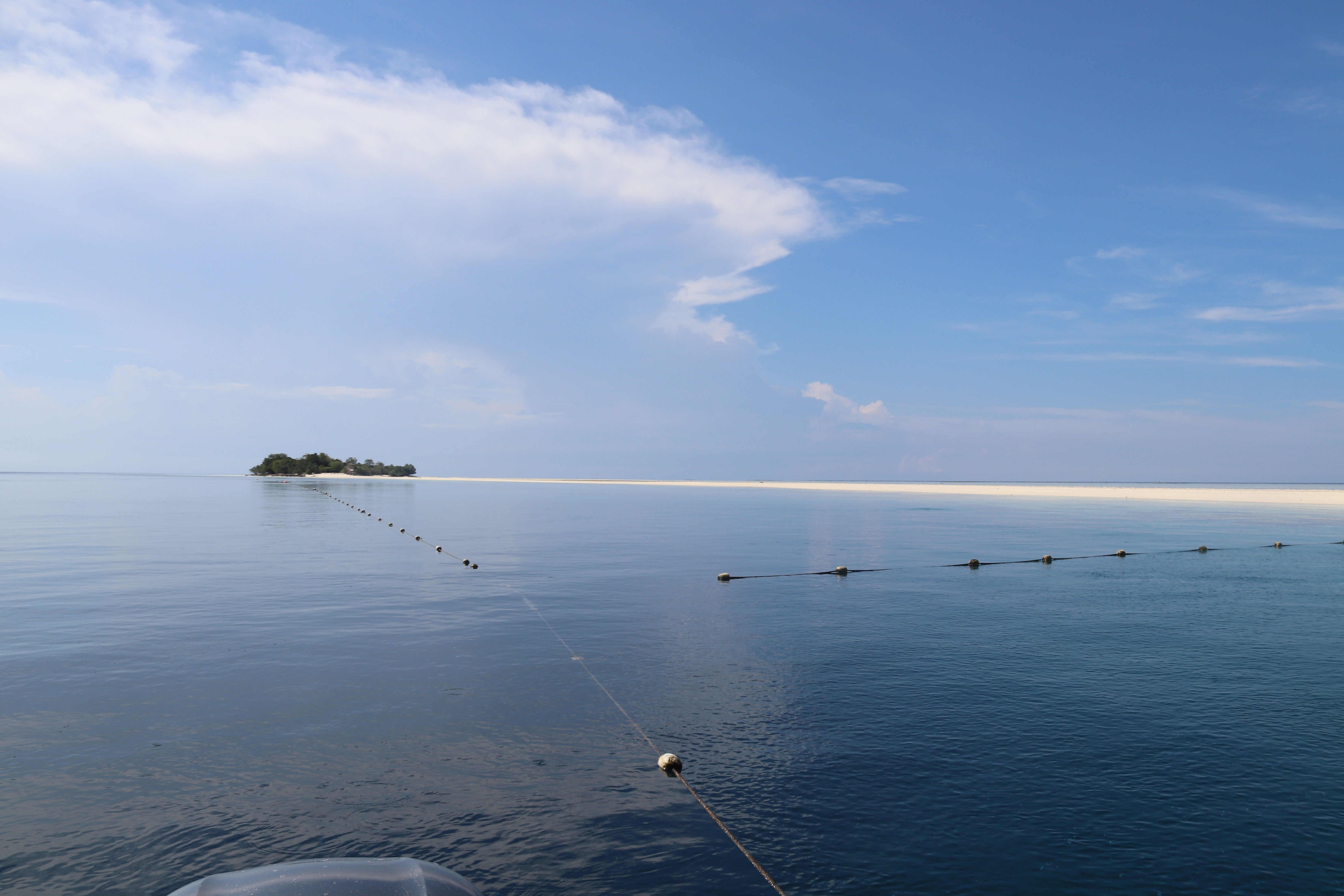 2018马来西亚之旅留影,2019回眸