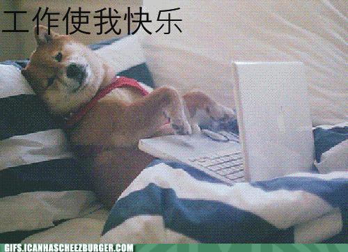 突然被公司辞退的心情,突然被公司辞退怎么赔偿