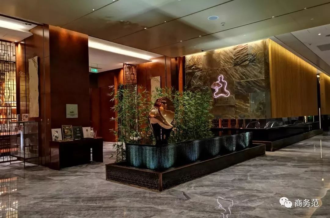 戴妃为什么喜欢老佛爷,为什么戴妃这么美