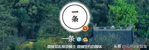 没想到这些大号他们“制造”出来的，这些大号你关注了哪些呢？