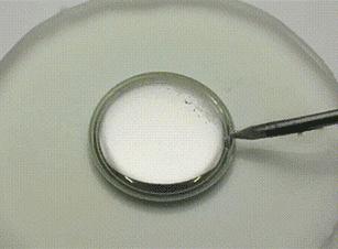 铝板加水银对飞机有什么影响,铝板上的水银为什么会长出小包