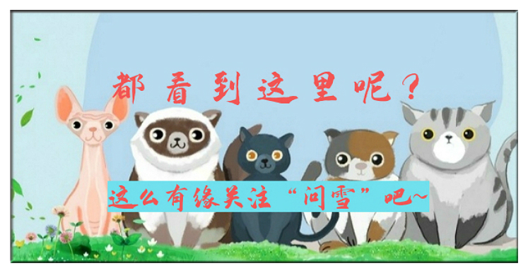 当你的宠物有残疾你会怎么样,宠物生病但是没钱救治怎么办呢