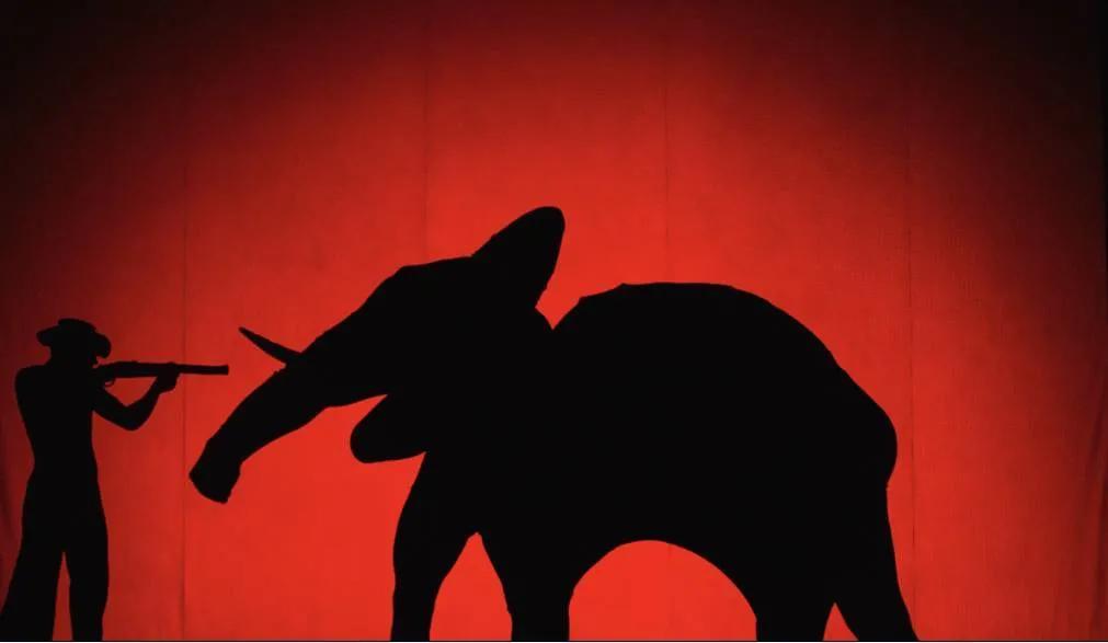 大象迁徙事件始末,大象迁徙为什么又回去了