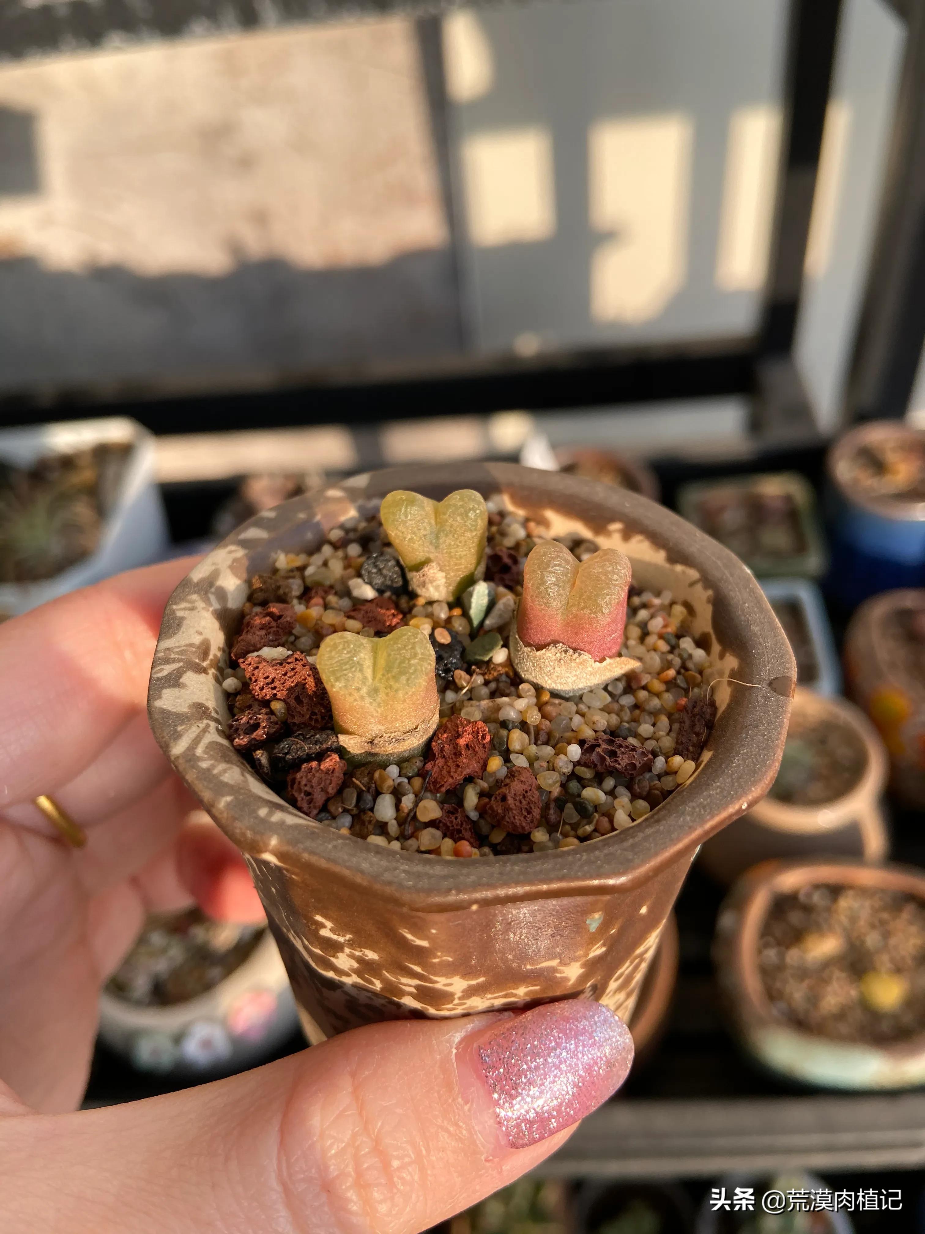 原来兴趣爱好真的能赚钱（一）