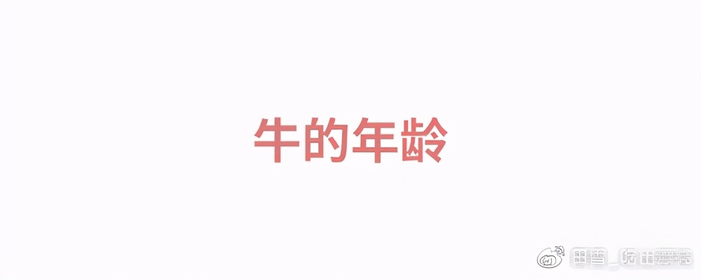 牛肉先锋|挑选好牛肉的锦囊妙计,“庖丁解牛”了解一下