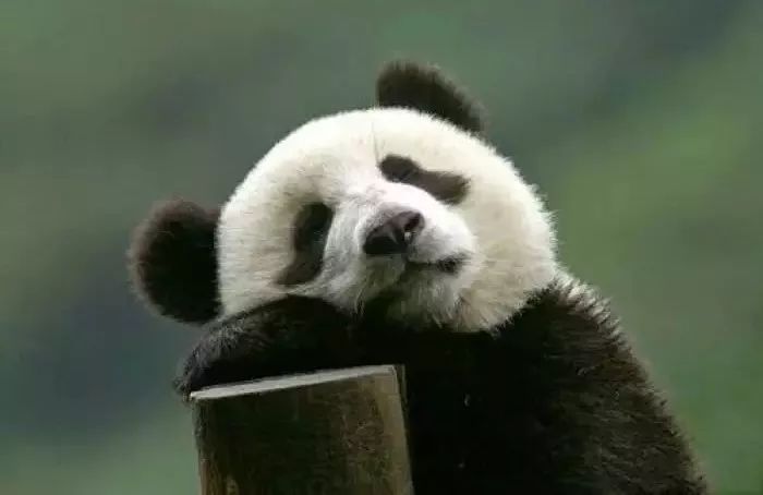 美瞳会磨损角膜怎么修复,角膜受损不可逆吗