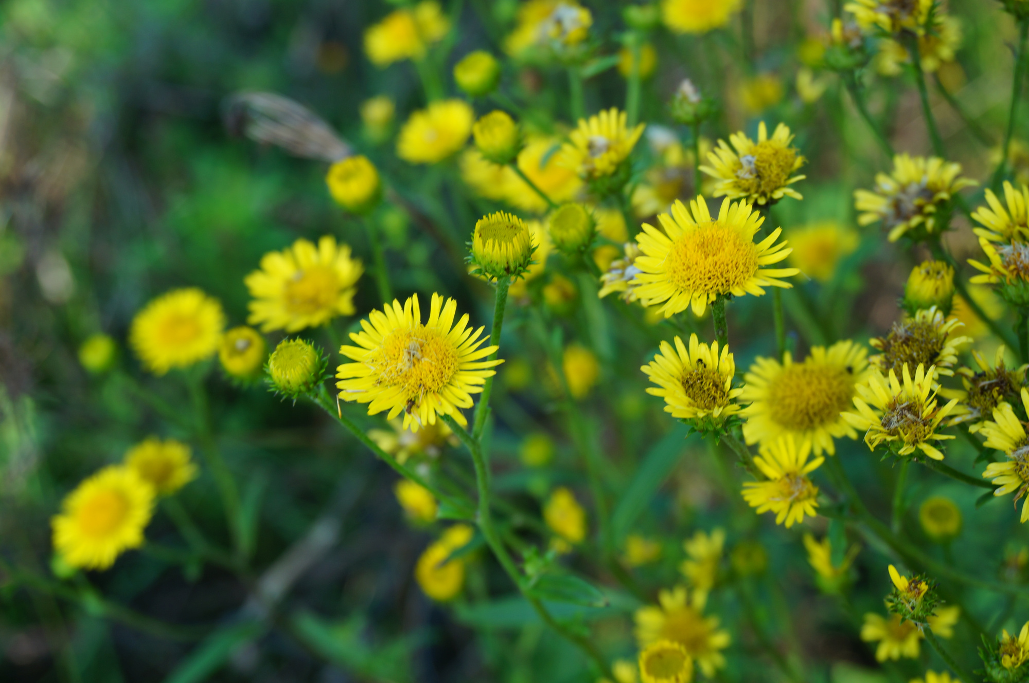 丹江口小众景点,丹江口好玩吗值得去吗