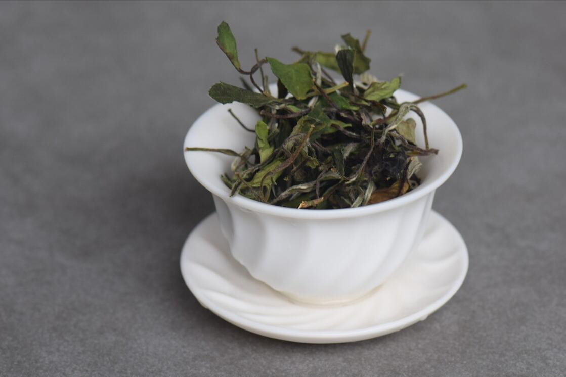 福鼎白茶会火什么程度呢,福鼎白茶怎么火了呢视频