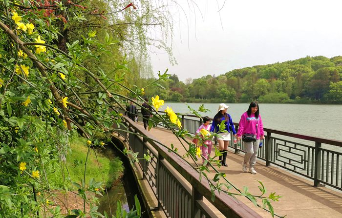 美丽的南湖公园夜景,南湖风景区真的太美了