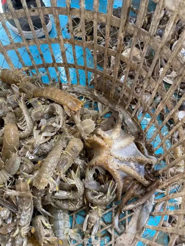 有一种炫富叫辽宁开海,在山东有一种炫富叫开海