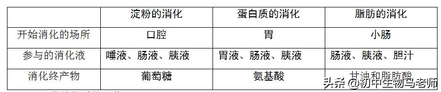 中考生物复习要点速记（人教版）第四单元生物圈中的人