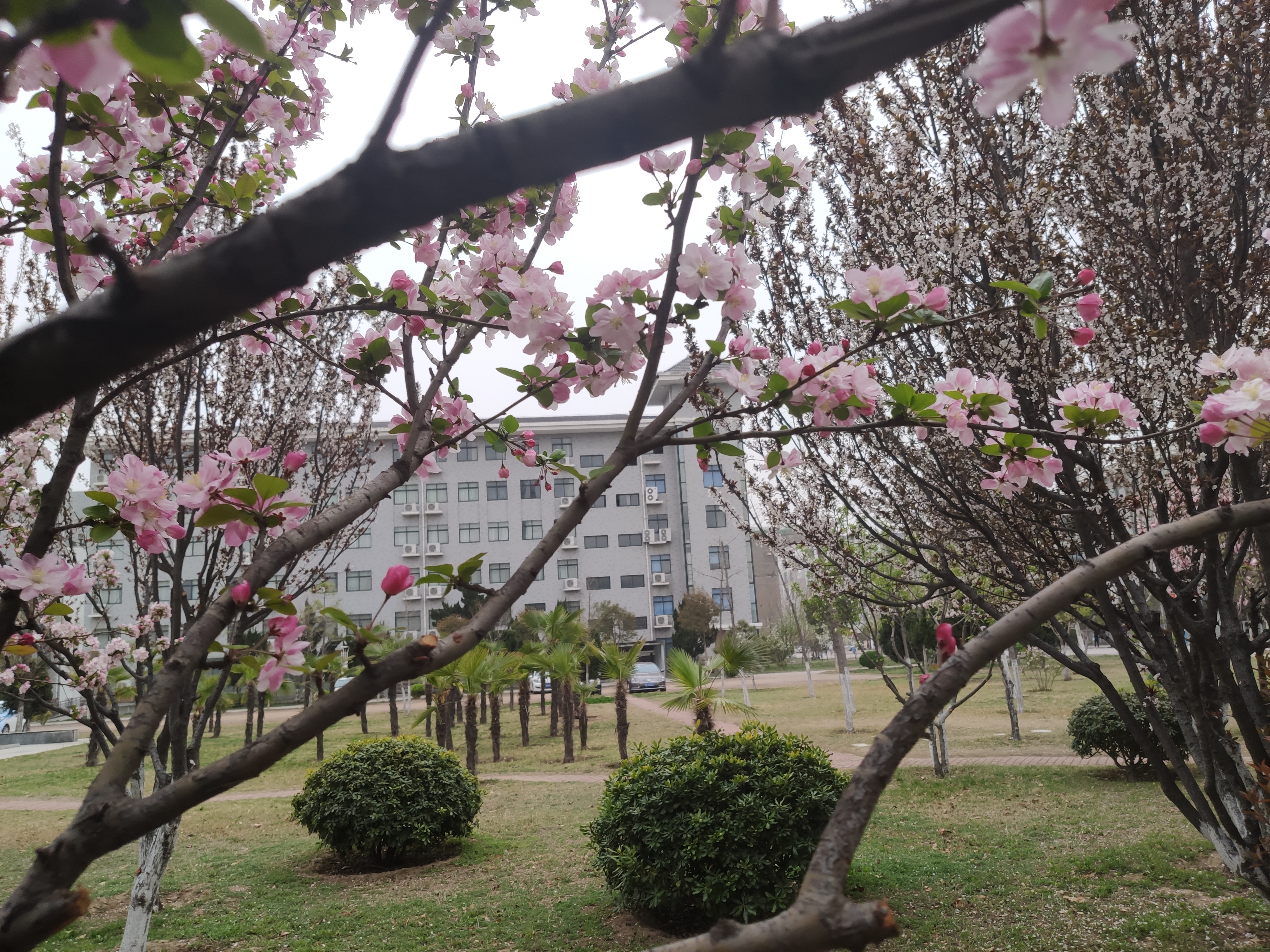 浅谈母校开封大学,来了绝不后悔的专科院校