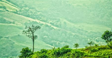 散文|汗漫:两个诗人