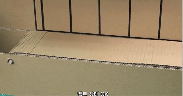 身价300万的仓鼠外网走红！住3层电梯豪宅，丰富娱乐，人不如鼠啊