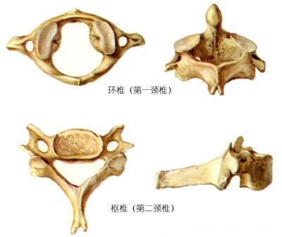 颈椎病脖子咔咔响怎么治,转动颈椎咔咔响真的是颈椎病吗