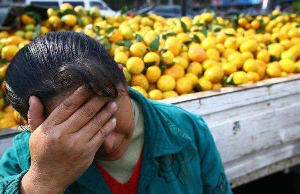 疫情之下,不能为了脱贫赶进度而突击扶贫、虚假脱贫!没有工作又遇农产滞销、扶贫*款贷**还不上?农民看这几招