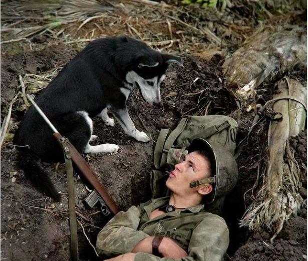 各国眼中的“少爷”兵,看美军军粮发现实至名归,后勤保障够优势