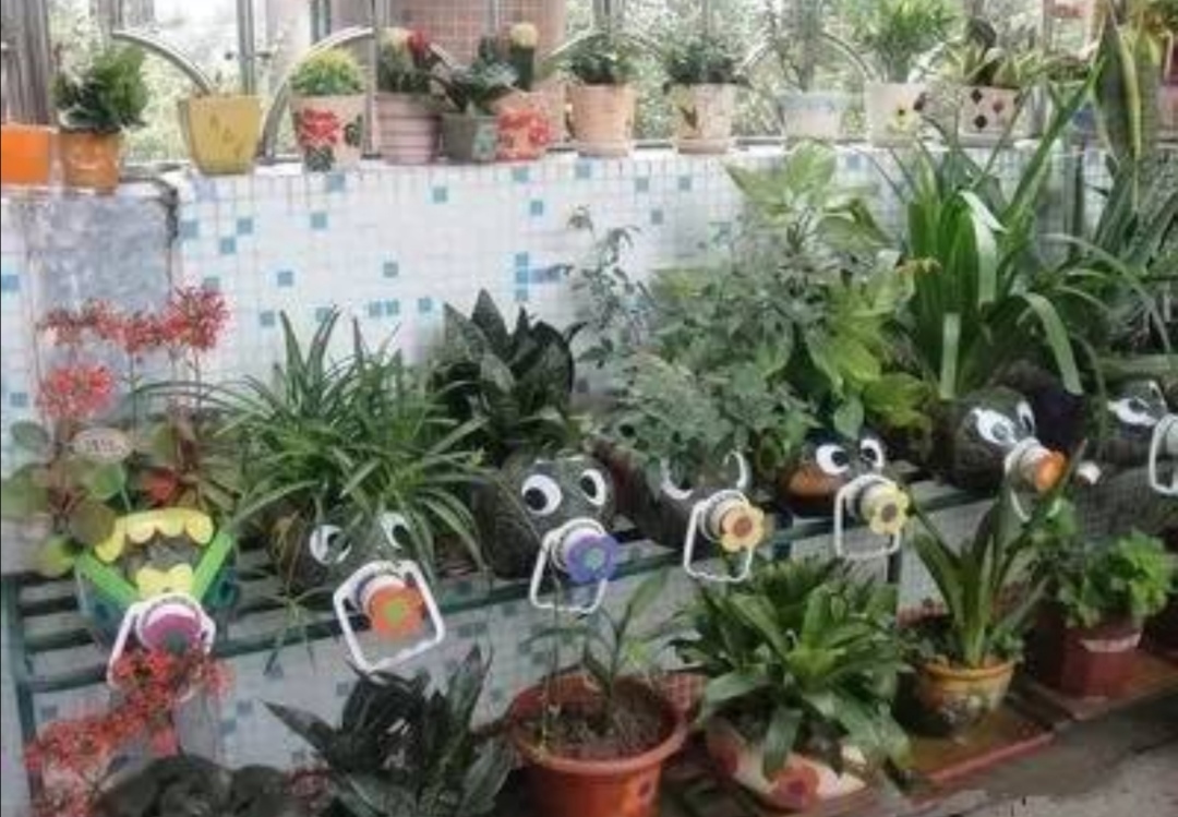 塑料瓶养花种菜,阳台用瓶子养花种菜