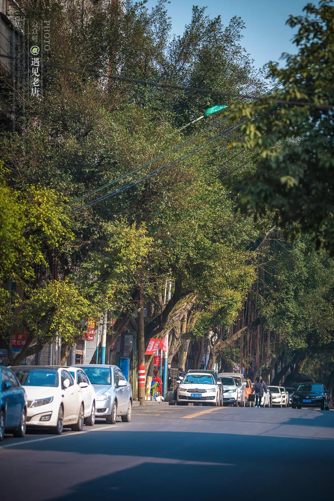 老泸州的回忆,泸州小市老城区