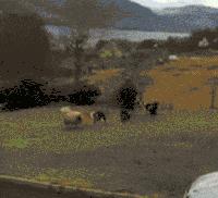 8个超级笑话，送给群里朋友乐一乐