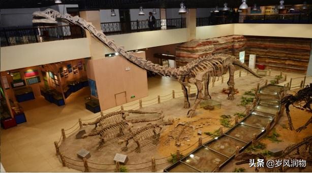 河北省会石家庄的介绍,河北石家庄有什么比较好的大学