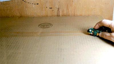 国庆与家人、朋友住韶关碧桂园*阳城太**凤凰酒店享美好假期