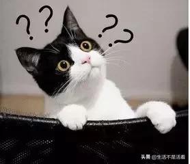 注销微信账号有哪些注意事项,注销微信账号是什么样的