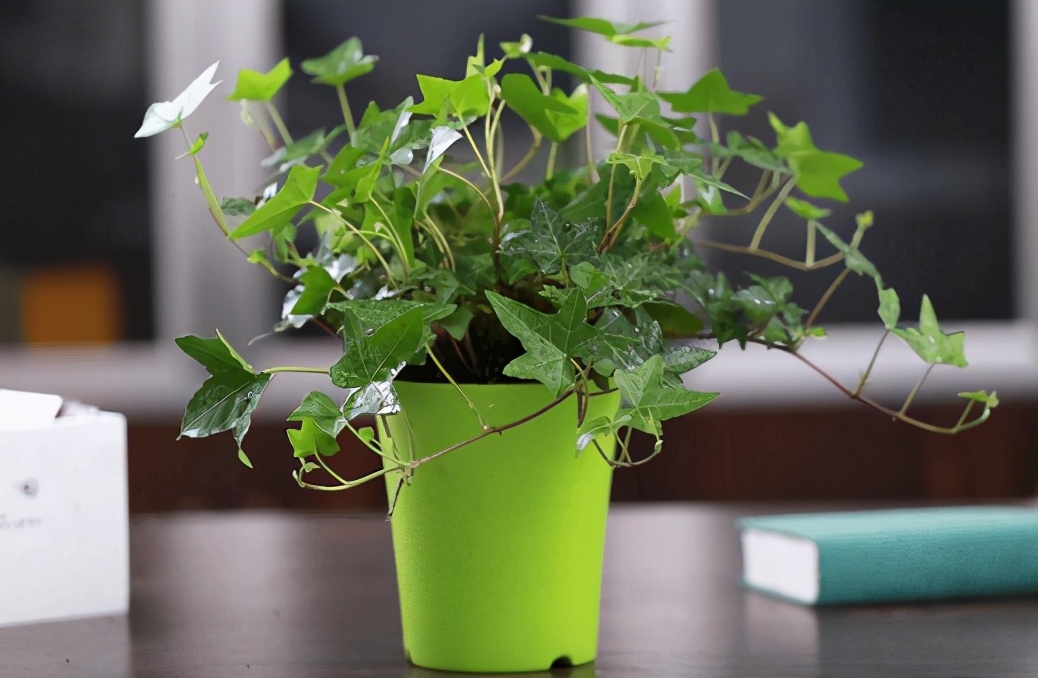 吸尼古丁少的烟对身体有害大吗,抽尼古丁含量小的烟危害