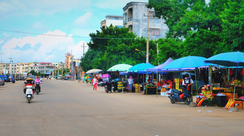 广东湛江景点及美食攻略,广东游记湛江市最美味的海鲜