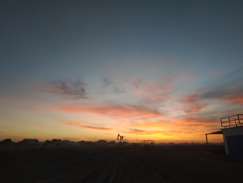 我在新疆生活的经历,我在新疆打工的日记