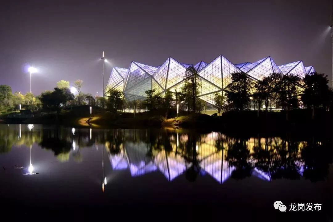 夜太美!龙岗人的夜生活原来如此丰富~