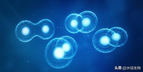 护肤品小科普推荐,护肤品科普水杨酸