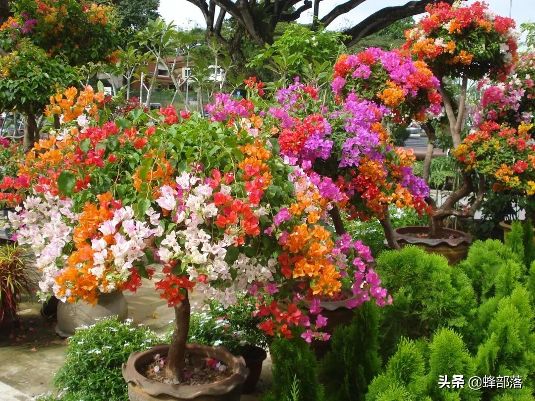 农村10万投资什么项目最赚钱,农村现在什么行业前景好最赚钱的