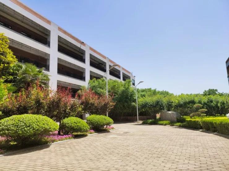 郑州2020中考省重点高中分数线,郑州各高中中招录取线