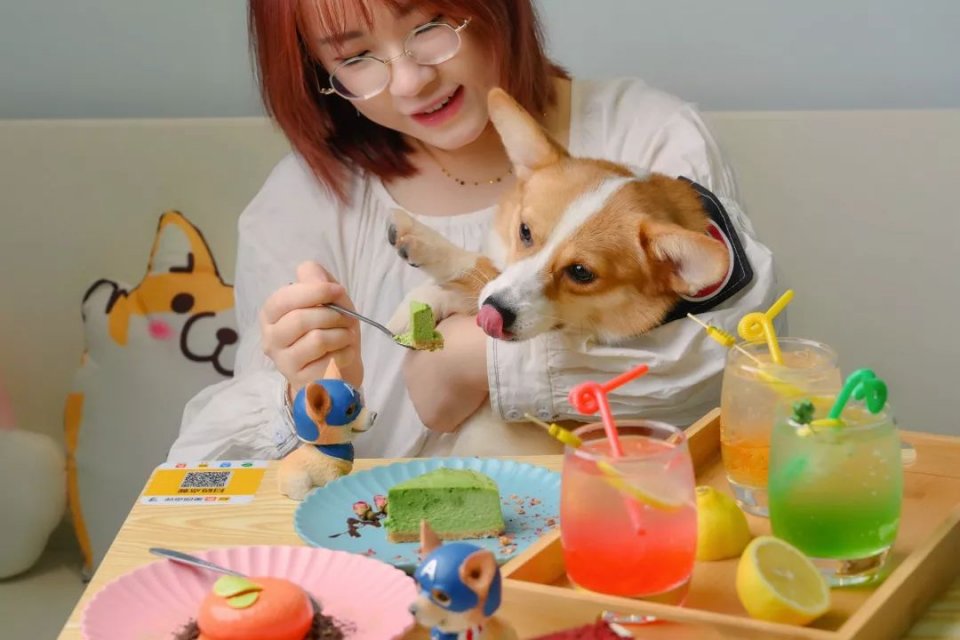 专门摸屁股的店，任摸