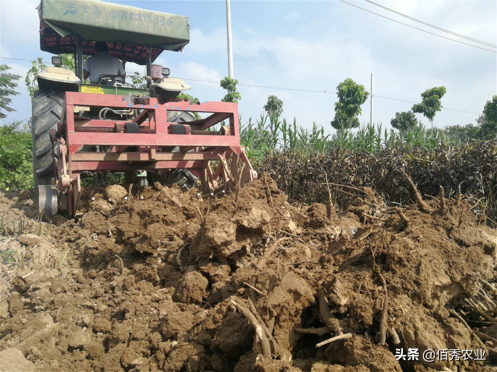 在农村种植没销路,在农村种地挣钱不