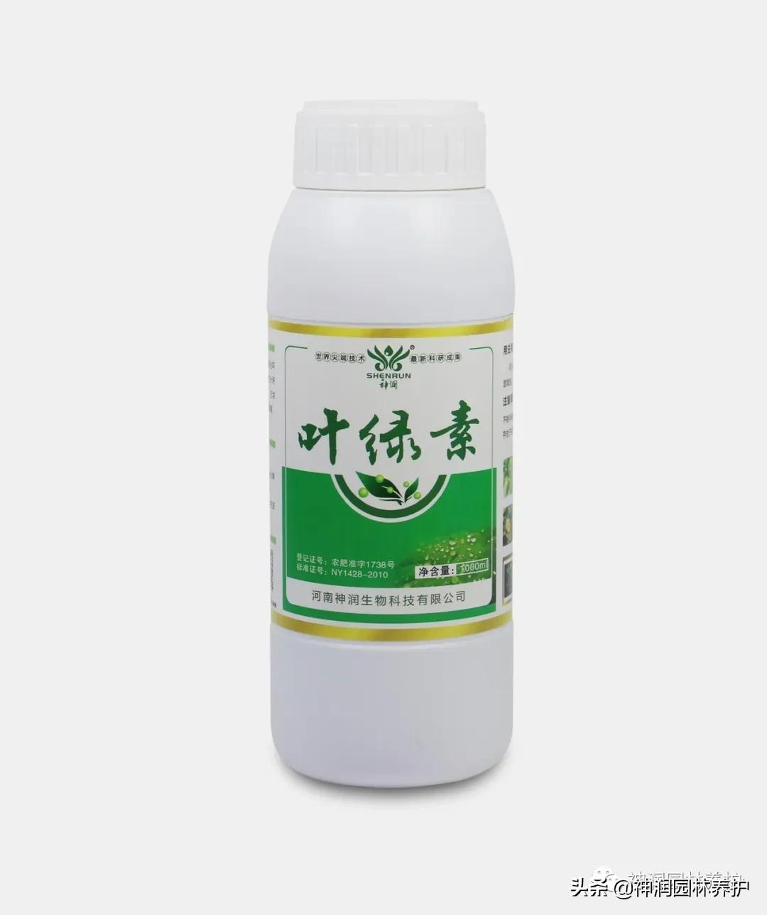 高温多雨草坪病害,园林树木病害春季