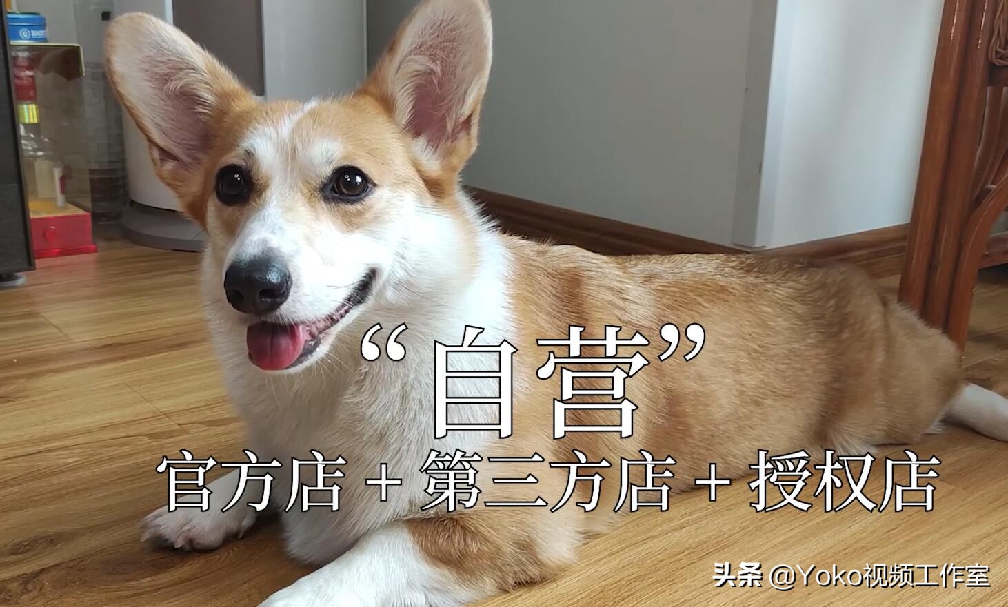 大学生买什么电脑性价比高,大学生买多少钱电脑合适