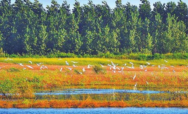 五一武汉市周边游,五一武汉周边短途旅游推荐