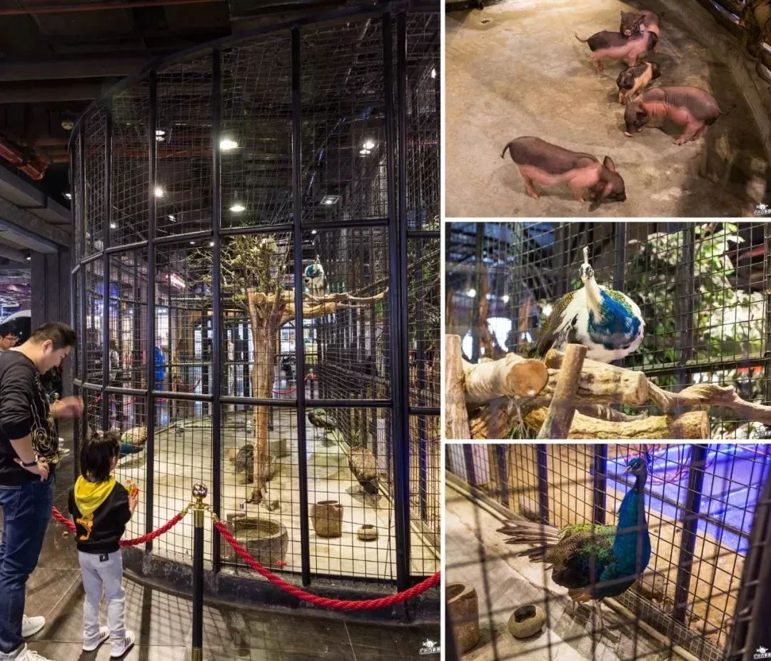 地铁直达！这里满满的复古风情，玩一天都不够！