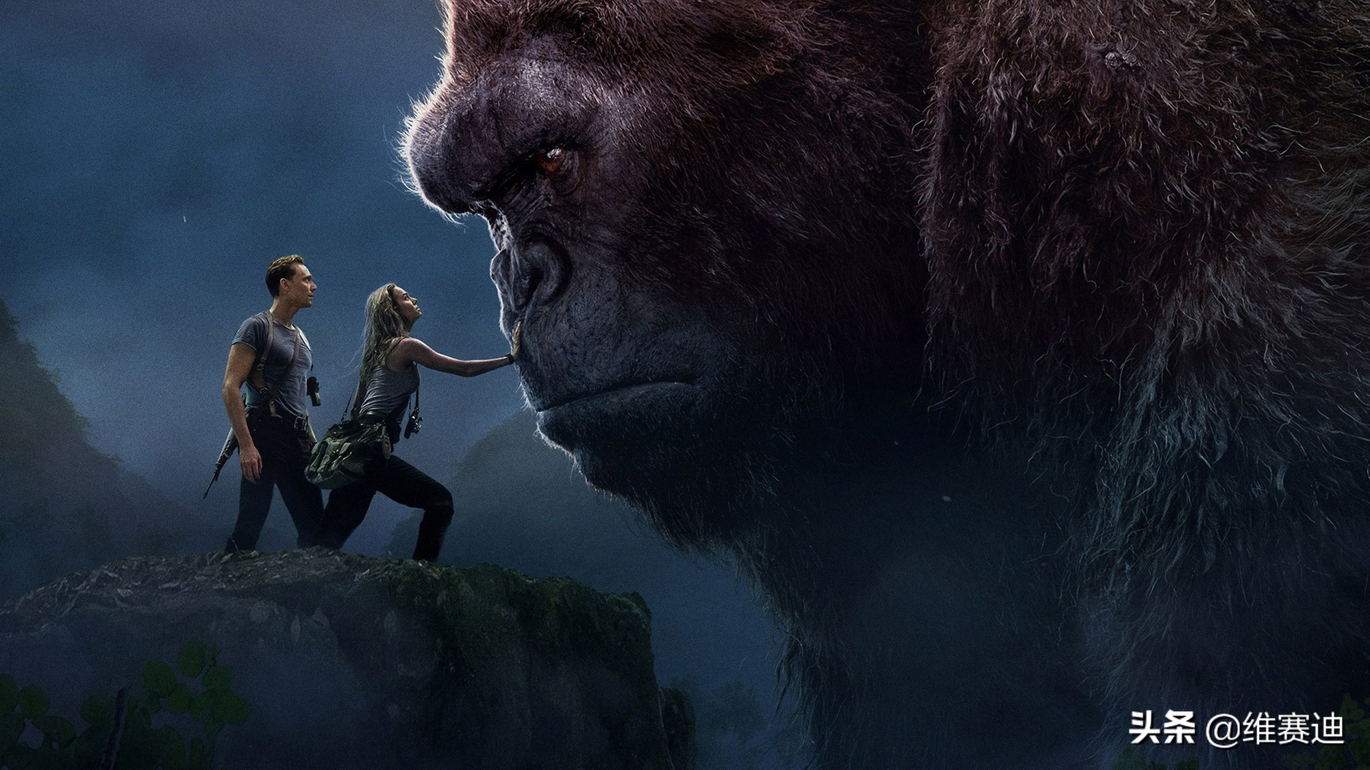 金刚怪兽宇宙,怪兽宇宙漫画里金刚有什么能力