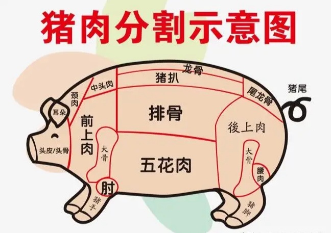 槽头肉和鲫壳肉区别,槽头肉和鲫壳肉有什么不同