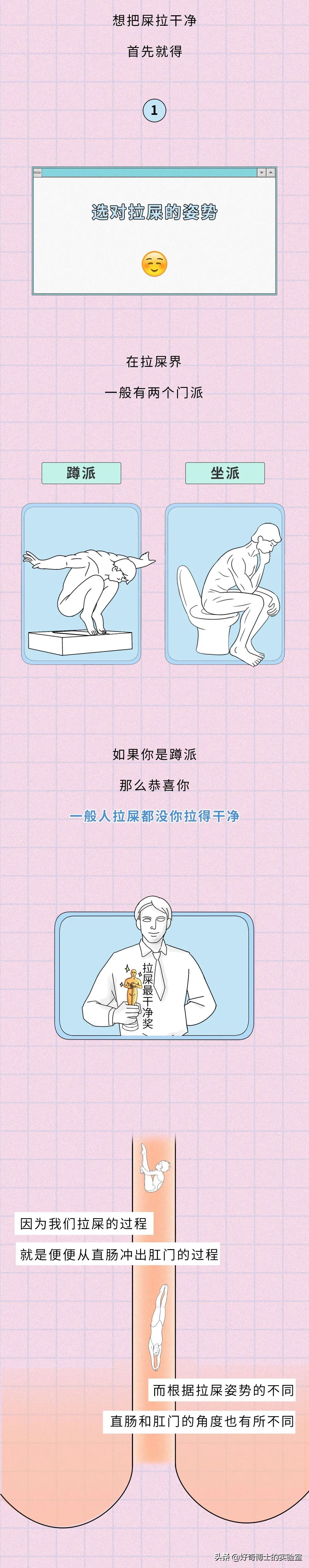 拉屎为什么这么爽,拉屎为什么会很爽