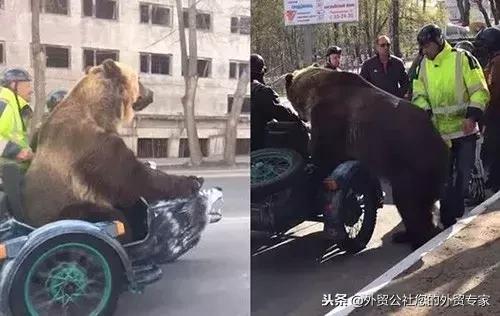 近期俄罗斯外贸资讯，都在这里了