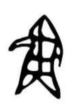 全球最古老的鱼在哪发现的,目前存有最古老的鱼是什么鱼