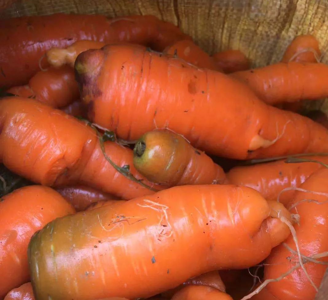 长沙身边事爆料最新消息,长沙身边趣事