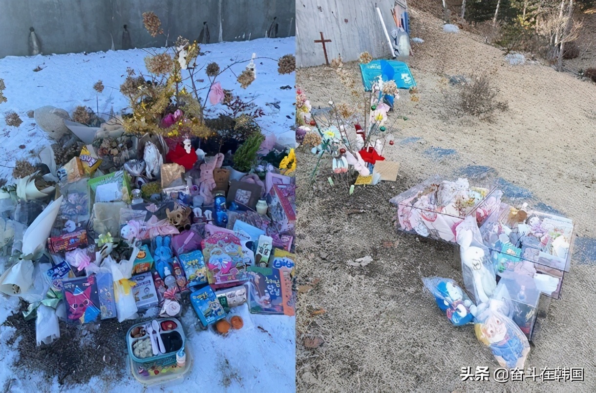 韩国被虐待致死的宝宝,韩国虐待儿童致死事件