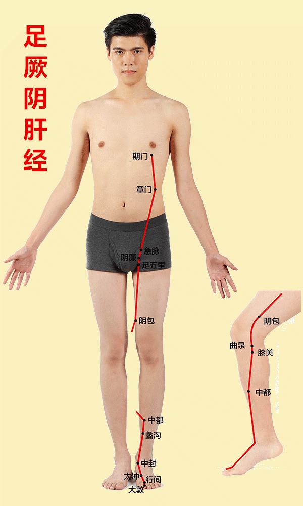 人体有十二条经络和三焦,人体有哪12条经络