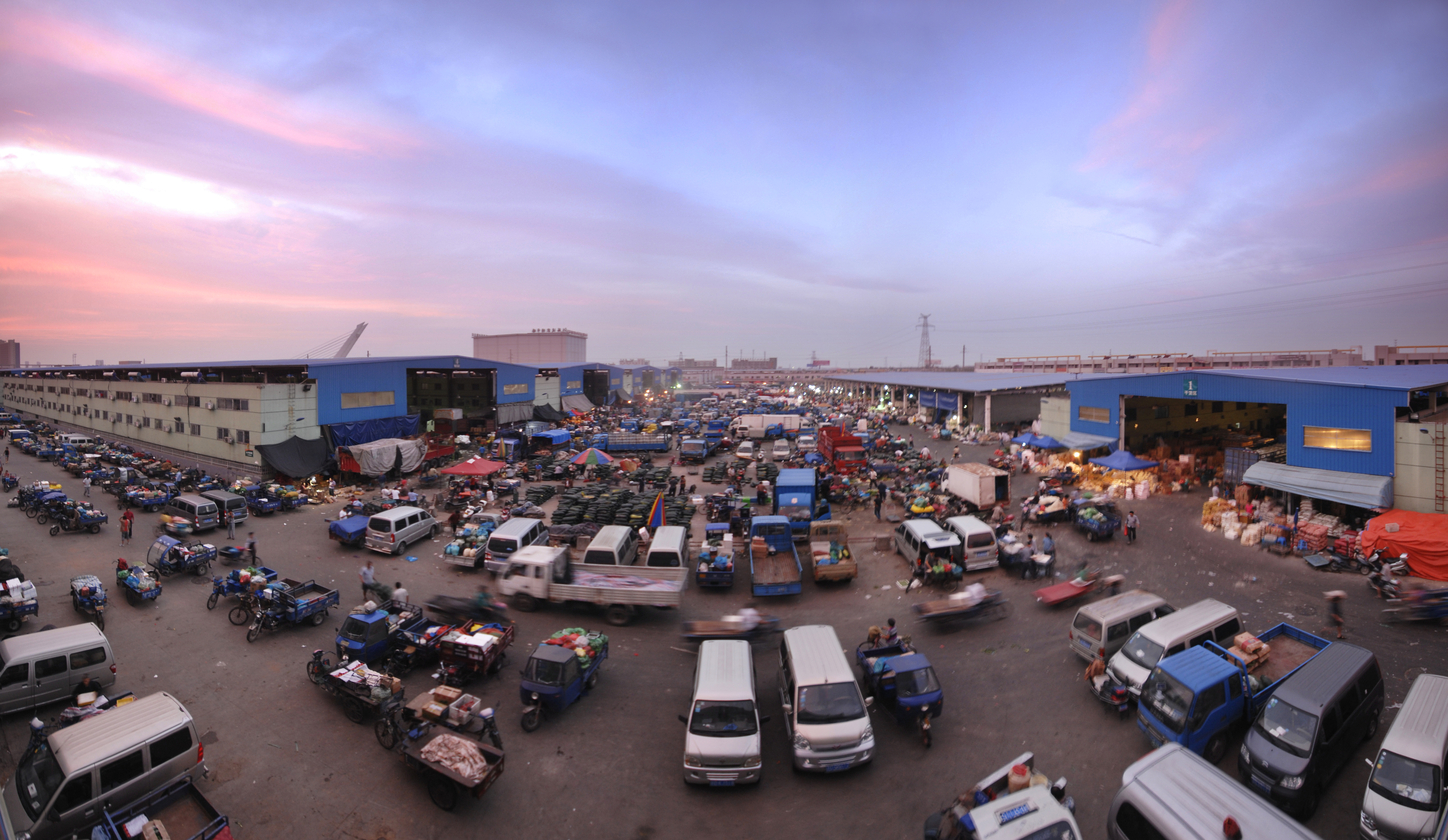 张建方,张建方蟹苗