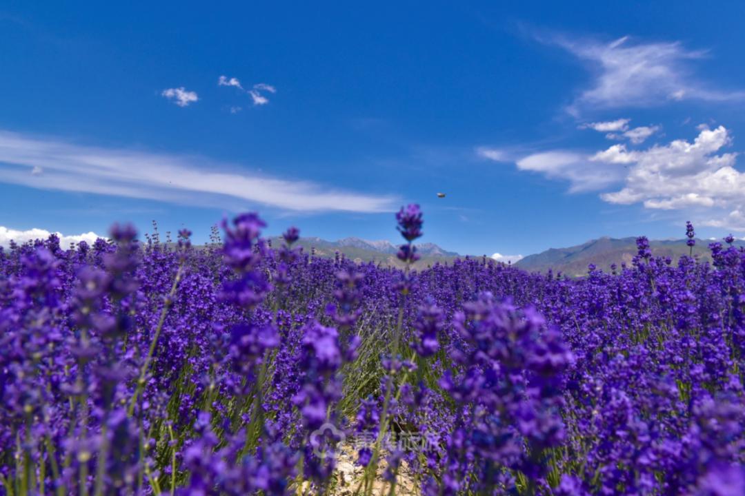 旅行中的故事讲述,旅行过程中的故事